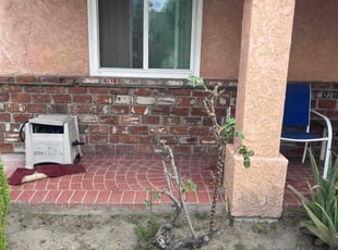 Monique A.'s Bush Trimming service result