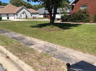 Bush Trimming by Joseph Bello for Michael T. in Warner Robins, GA