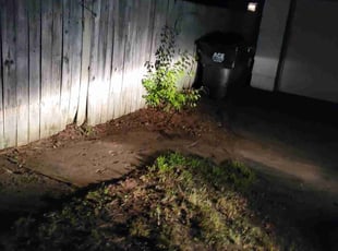 Leaf Removal by Christina Wallum for Tanner G. in Mounds View, MN