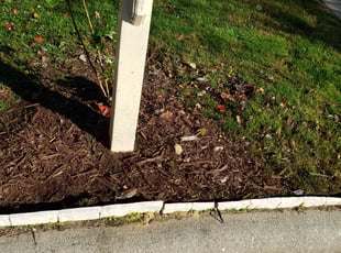 Weeding by Michael steele for Tim W. in Cary, NC