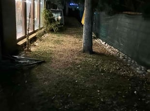 Leaf Removal by Justin Hands for Sean C. in Aurora, CO