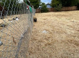 Cleanups by Gabriel Aldrete for Richard L. in Sacramento, CA