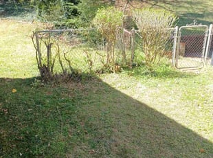 Bush Trimming by Tyry Crawford for April . in Decatur, GA