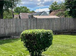 Bush Trimming by Kyran Bishop for Phyllis H. in Dayton, OH