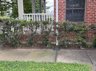 Bush Trimming by Christopher Darnell for Christy L. in Nashville, TN