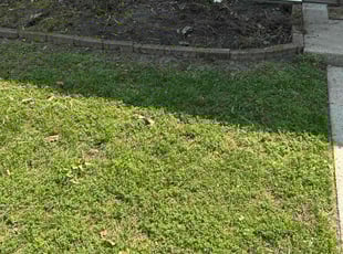 Melanie P.'s Cleanups service result