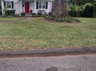 Leaf Removal by Michael Cherry for Marie K. in Charlotte, NC