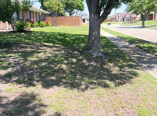 Leaf Removal by Olivia Martinez for Roland S. in Carrollton, TX