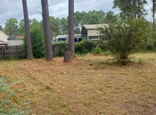 Leaf Removal by Michael Scipio for Jonathan L. in Elgin, SC