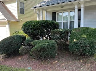 Kevin M.'s Bush Trimming service result