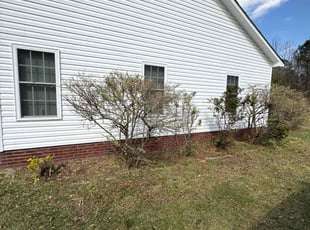 Bush Trimming by Ryan Winnard for Jack F. in Jacksonville, NC
