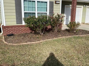 Weeding by Jessie Revilla Sanchez for Michael R. in Oklahoma City, OK