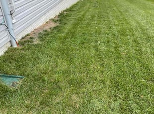 Ryan G.'s Grass Cutting service result