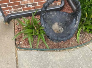Weeding by Joey Handley for Monnie C. in Sand Springs, OK
