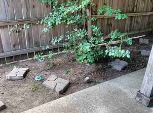 Leaf Removal by Jared Lecompte for Robert S. in Baton Rouge, LA