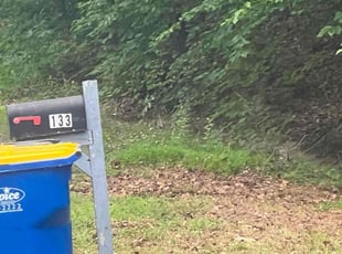Leaf Removal by Ashley Dawson for Nady L. in Fredericksburg, VA