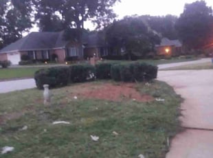Cleanups by Timothy Graham for Alexander S. in Conyers, GA