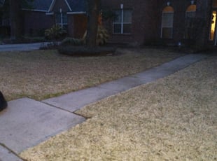 Cleanups by Chris Ferrell for Paul W. in Tomball, TX