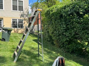 Bush Trimming by Angel P. for Rosa l. in Arlington, VA