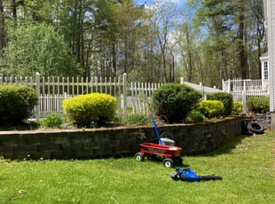 Bush Trimming by Jared Giarrusso for Kathleen S. in Hampstead, NH