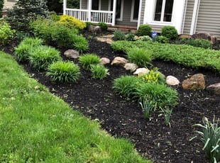 Cleanups by Kaharie Lewis for Marc P. in New Albany, OH