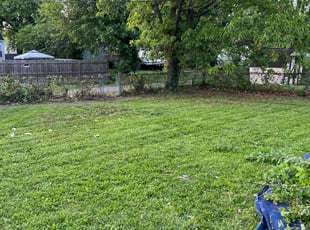 Cleanups by LaWanda Moses for Raychel W. in Richmond, VA