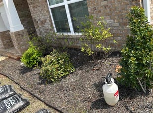 Weeding by Jecory Garrett for Tyler T. in Madison, AL