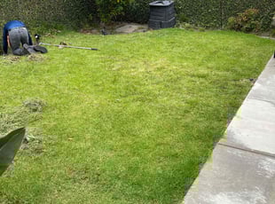 Weeding by Uriel Ocampo for Kimberly B. in Los Angeles, CA