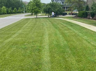 Bush Trimming by Kylen Haffner for Joseph M. in Omaha, NE