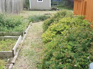Weeding by Jon Coen for Sarah O. in Urbandale, IA