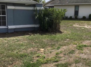 Bush Trimming by Marcus Mills for Gina C. in Spring Hill, FL