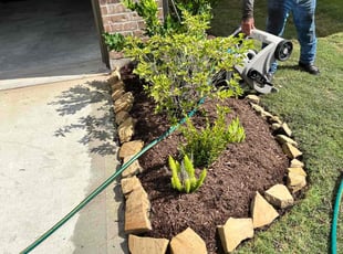 Mulching by Edwin Fernandez for Devin N. in Katy, TX