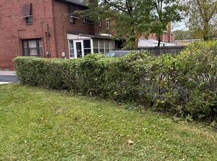 Bush Trimming by Otis Brown for Kelly B. in East Cleveland, OH