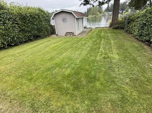 Jennifer T.'s Lawn Maintenance service result