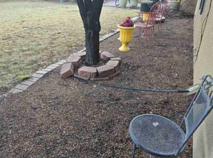 Martha S.'s Leaf Removal service result