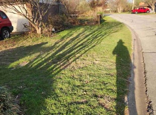 Leaf Removal by Manuel Solis Soto for Sherri S. in Frisco, TX