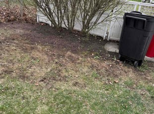 Leaf Removal by Japheus Sanders for Linda M. in Southfield, MI