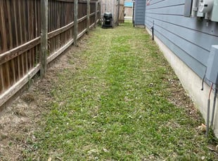 Cleanups by Preston McNeely for Sergio S. in San Antonio, TX