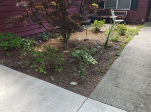 Leaf Removal by Billy Shelton for Nadine M. in Asheville, NC