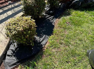 Mulching by Edgar Elmore for Lisa H. in Springfield, VA