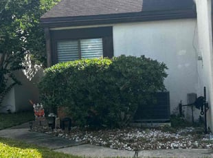 Bush Trimming by Halainna Force for Michelle H. in Jacksonville, FL