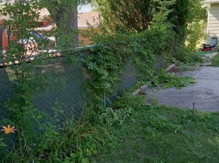 Cleanups by Kevin Rhyne for Bobbie K. in Madison, WI