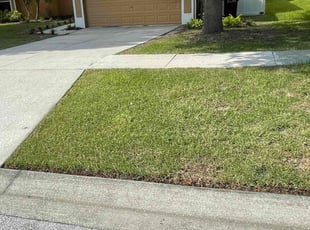 Leaf Removal by Samuel Banda for Mayra R. in Clermont, FL