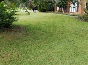 Cleanups by Joel Pignataro for Monique S. in McDonough, GA