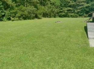 Ben S.'s Lawn Service service result