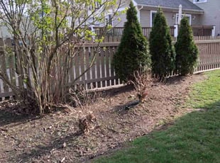 Leaf Removal by Jay T for Steven R. in Akron, OH