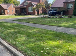 Shawna B.'s Yard Cutting service result