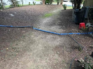 Cleanups by Quincy D. for Sheila R. in Charlotte, NC