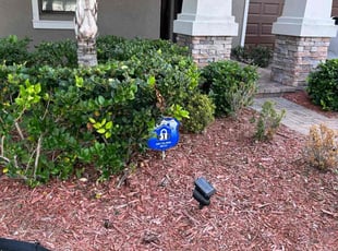 Bush Trimming by Jim Jones IV for Cristina B. in Ruskin, FL