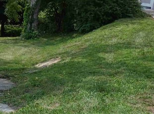 Bush Trimming by Timothy Walker for Jeremiah R. in Independence, MO